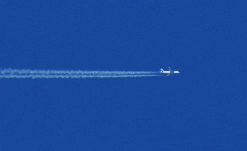 darmowy hosting obrazków