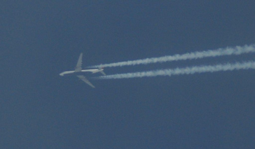 darmowy hosting obrazków