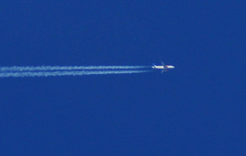 darmowy hosting obrazków