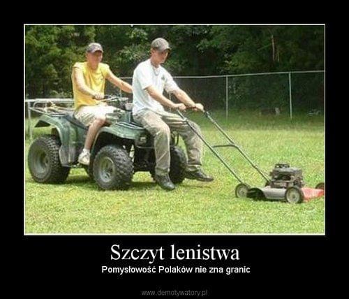 Obrazek