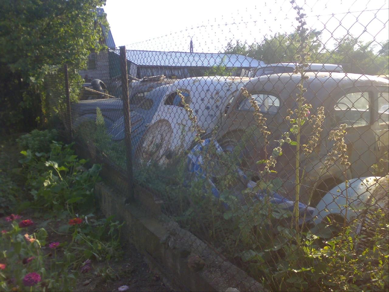 Darmowy Hosting na Zdj�cia Fotki i Obrazki