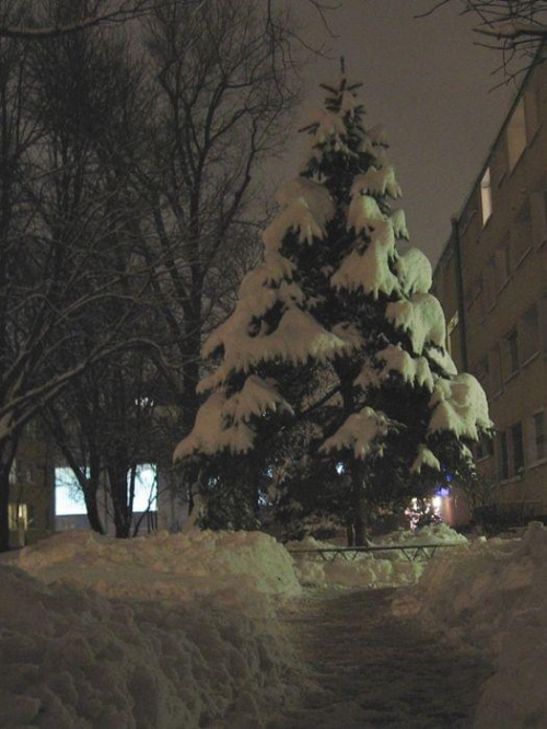Troche zimy...dla tych ,którym mało #Warszawa #SaskaKępa #zima #noc #śnieg