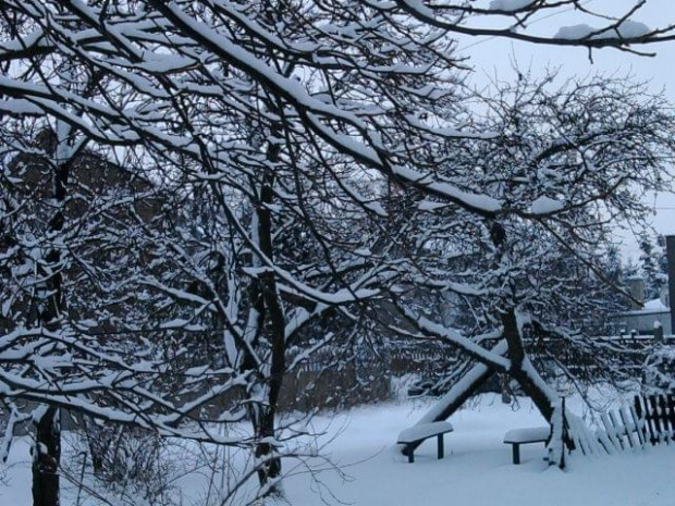 Pokrywa śnieżna wzrosła do 23cm
11.01.2009