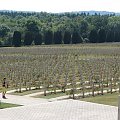 Cmentarz którego ilość krzyży mówi o tragedii I wojennych zmagań spod Verdun.