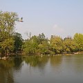 jesien ...na laweczce po wieczornym spacerze