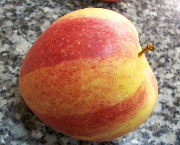 Jabłko-jadalny, kulisty owoc jabłoni o soczystym i chrupkim miąższu, spożywany na surowo, a także po obróbce kulinarnej.Świeże, nieuszkodzone jabłka zawierają pewną ilość witaminy C (8 mg w 100 g świeżego jabłka), większość innych witamin i minerałów,...