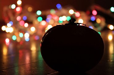 Tomato #kompozycja #owoce #pomidor #warzywa