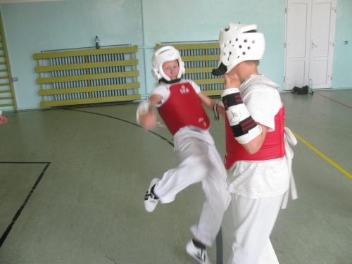 summer camp taekwondo Puck