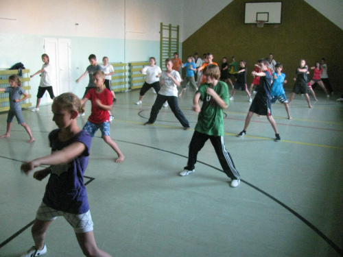 summer camp taekwondo Puck