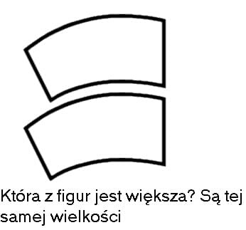 złudzenia