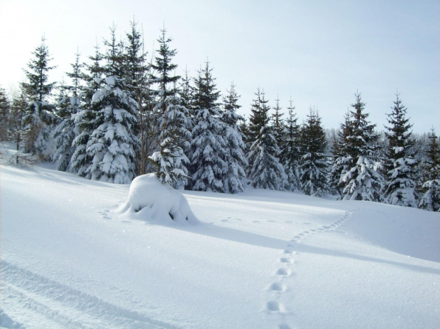 W śnieżnej krainie :)) #Karkonosze #zima #śnieg #szadź