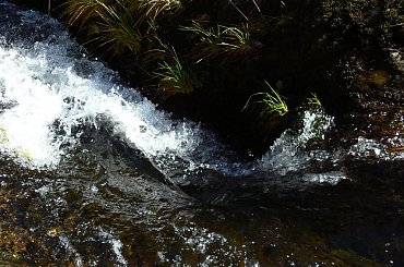 wodospady,Biała Opawa,góry Pradziad,Jesenik #wodospady #BiałaOpawa #GóryPradziad #Jesenik