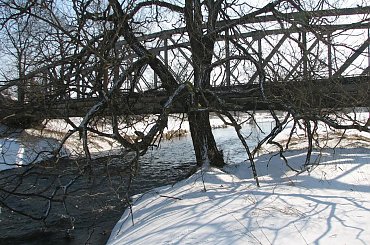 Bóbr #Rzeki #krajobrazy #przyroda