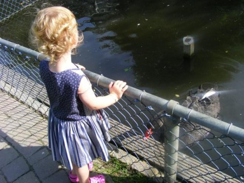 Sprookjeswonderland Enkhuizen