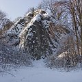 Skałka zimą #Rataj #MałeOrganyMyśliborskie #góra #skałka #zima #ParkKrajobrazowyChełmy
