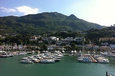 różne #kwiaty #owady #owoce #przyroda #święta