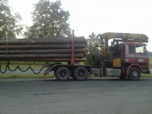 Scania #TransportDrewna