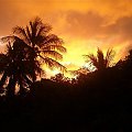 Zachod slonca / Laudat / Dominica / Karaibik 2006 #zachod #slonce #karaiby #wyspy #palmy #urlop #wczasy