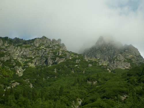 Dolina Pięciu Stawów #DolinaPięciuStawów #góry #krupówki #tatry #wakacje #wczasy #zakopane