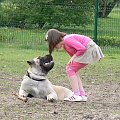 boerboel Gdańsk Shek Xantiland z Oliwką :) #boerboel