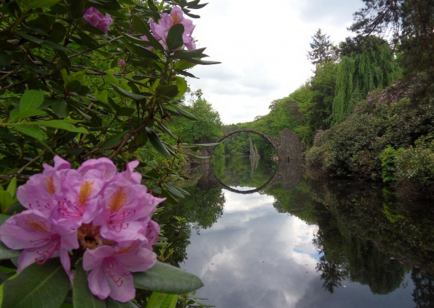 Most na jeziorze Rakotz to największa atrakcja parku w Kromlau ;) #kromlau #kwiaty #niemcy #ParkRododendronów