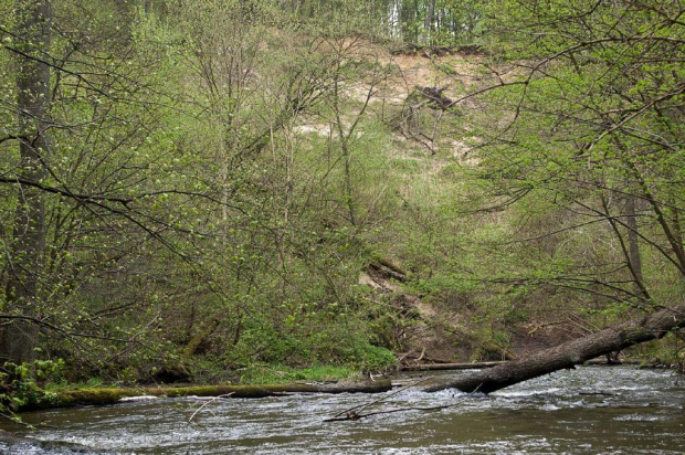 Rzeka Wel, spływ kajakowy maj 2010 przez Piekielko #rzeka #wel #wela #spływ #kajaki #piekiełko #rezerwat