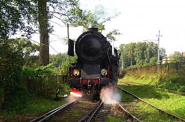 05.09.2009 | Chabówka Skansen | Ty2-953 manewruje na tor po którym odbędzie się przejazd na Paradzie Parowozów 2009 #PKP #PLK #Express #EU06 #EU07 #EP07 #EP08 #ET21 #ET22 #ET41 #ET40 #EP09 #Taurus #Husarz #Dragon #Eurosprinter #WM15A #WM10EN57