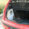 subwoofer punto