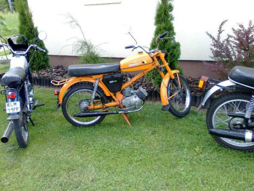 ogar
