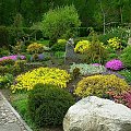kolorowy ogród