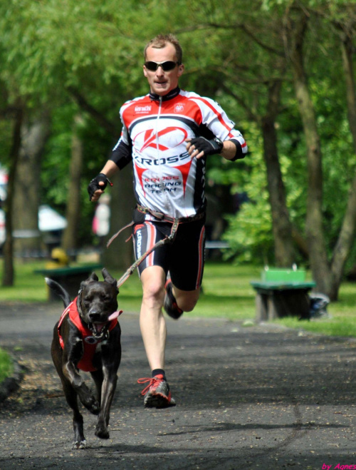 Pokazy dyscyplin psich zaprzęgów. Dzień dziecka w Żninie.
Mateusz Brylewski i Igor Tracz.Canicross, Bikejoring, Scooter, psi zaprzęg. #PsieZaprzęgiŻnin #BrylewskiMateusz #IgorTracz #bikejoring #scooter #canicross #greyster