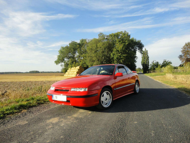 calibra