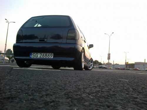 polo 6n