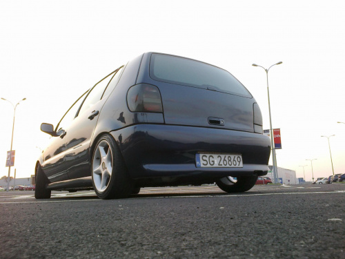 polo 6n
