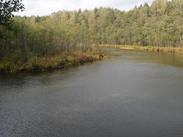 Brodnicki Park Krajobrazowy #BrodnickiParkKrajobrazowy #las #rower