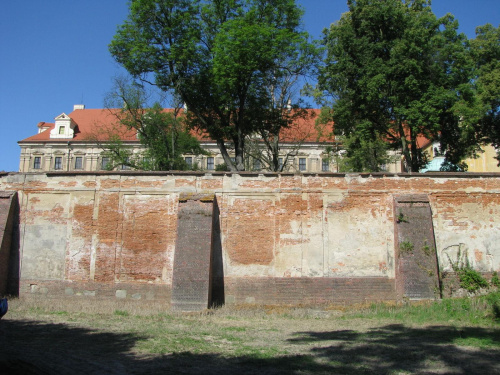 Lubiąż 16