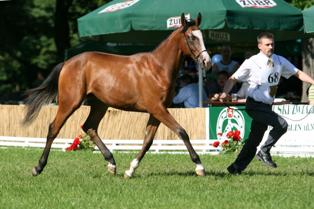 Adrenalina czempionat Białka 2010