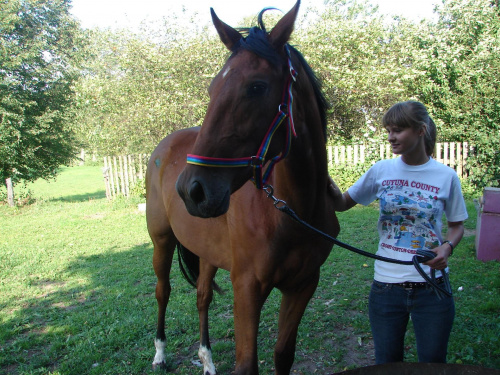 koń konie #koń #konie #marsylia #szok #salsa #jeździectwo #wakacje