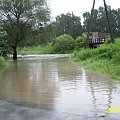 Złocień Bieżanów 28.07.10.