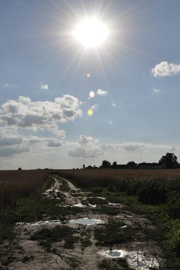 Fotografia stanowi własność autora. Kopiowanie i rozpowszechnianie fotografii bez jego zgody jest zabronione.