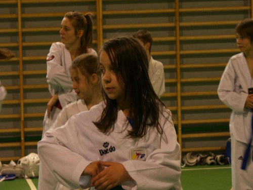 seminarium z MIstrzem Kang Cheol In 7 dan #taekwondo #tkd #walka #zawody