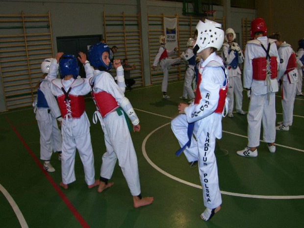 seminarium z MIstrzem Kang Cheol In 7 dan #taekwondo #tkd #walka #zawody