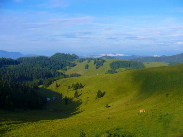 Zdjęcie konkursowe