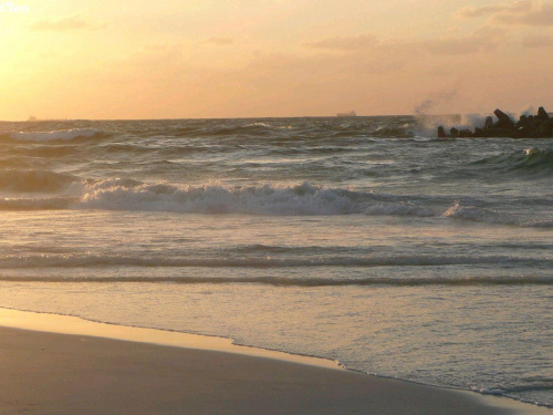 Niespokojne morze, fale bija o brzeg - Alex. 18.09.2008