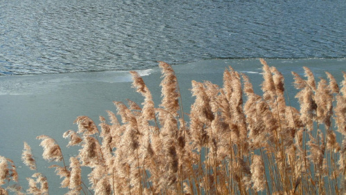 nad jeziorem #jezioro #zima #slonce #niebio