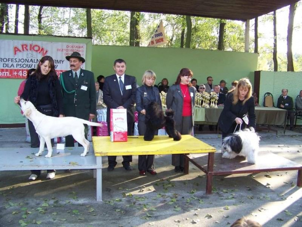 Rybnik - pierwsza w swojej klasie,druga ogólnie :-)