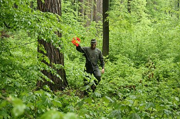 asg kaczerki #asg #kaczerki #dst #strzelin