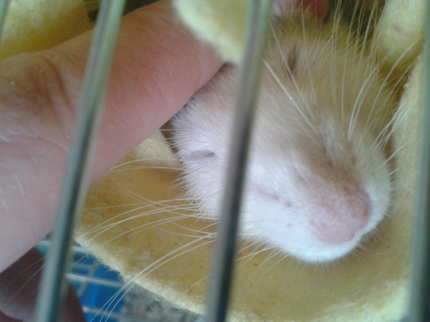 Relaks w hamaczku