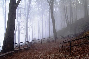 #SzkołaPodstawowaNr30