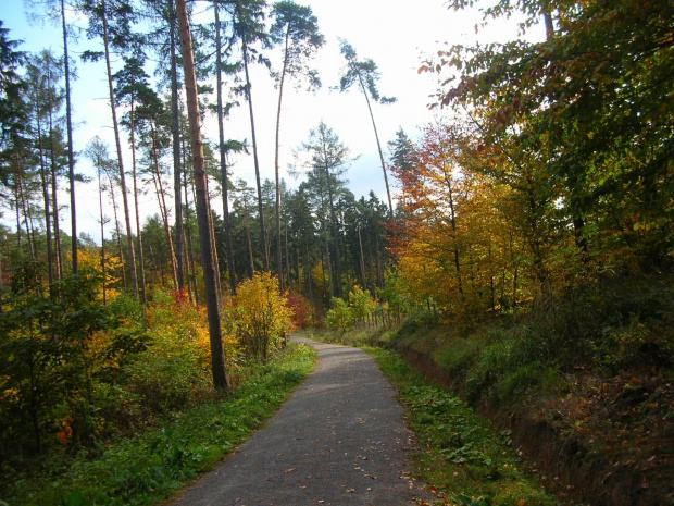 przyroda jesienią